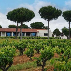 Bodega Pedrosa de Duero