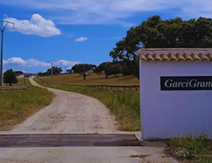 Visita ganadería Garcigrande