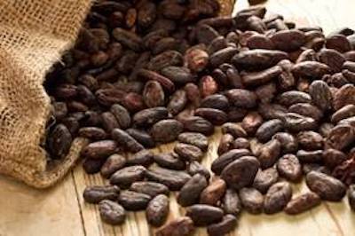 Imagen de fotos de cacao