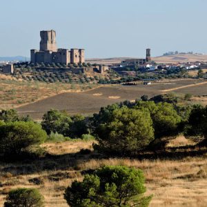 Castillo de Sotomayor y Zúñiga