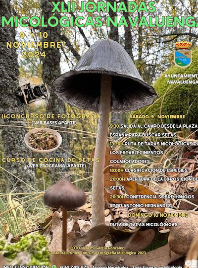 Cartel del ayuntamiento de Navaluenga