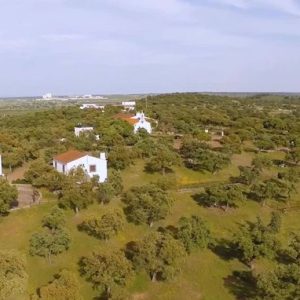 Parque San Martín en Añora