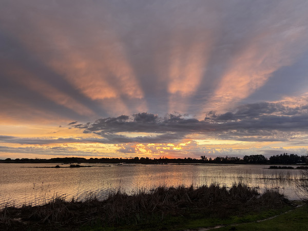 Vista del Parque Natural de Doñana