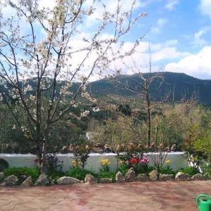Casa rural en Carcabuey con piscina
