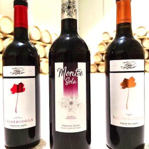 Visita bodega en Valbuena de Duero