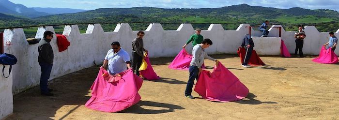 Clases de toreo de Salón